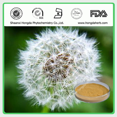 Dandelion Extract