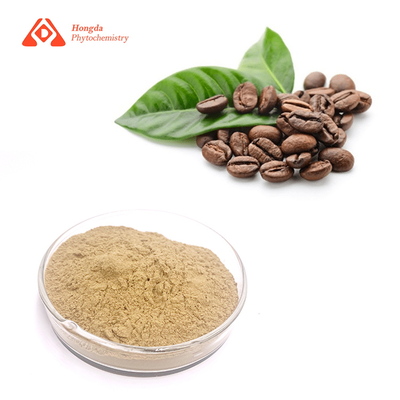 Coffee Bean Extract（20%）