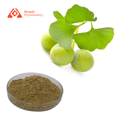 Ginkgo Biloba Leaf Extract