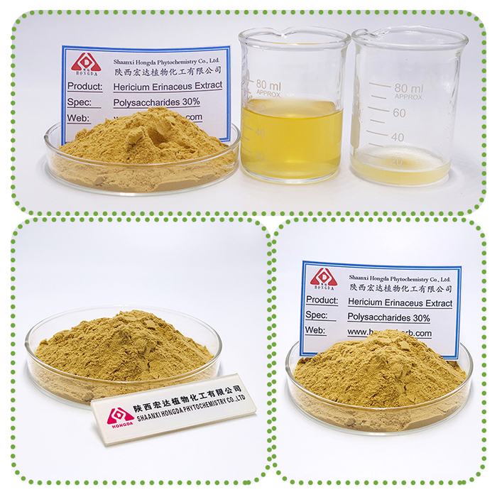 hericium erinaceus extract.jpg