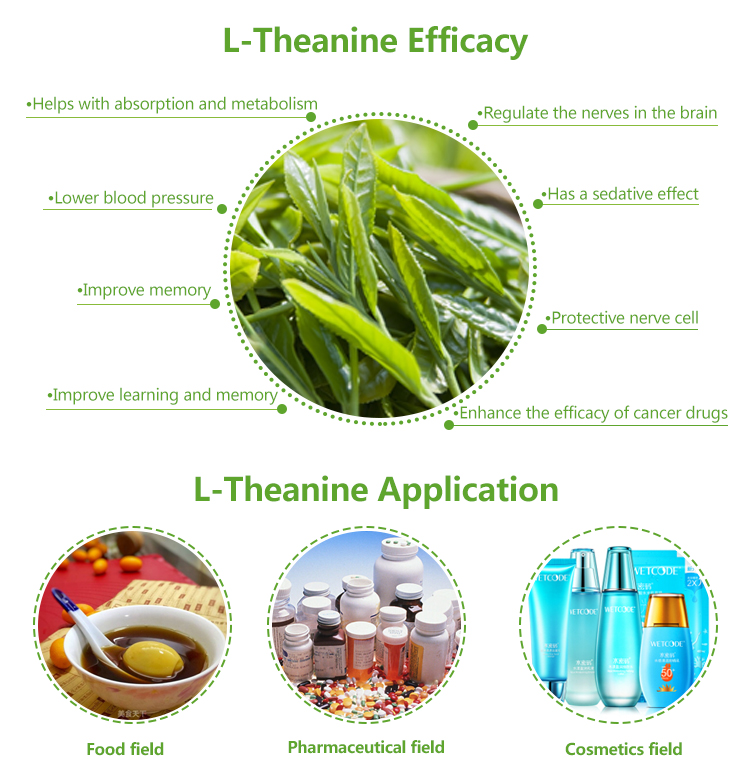 L-Theanine Benefits.jpg