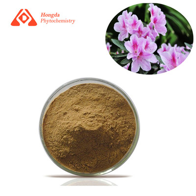 Dahurian Rhodoendron Leaf Extract