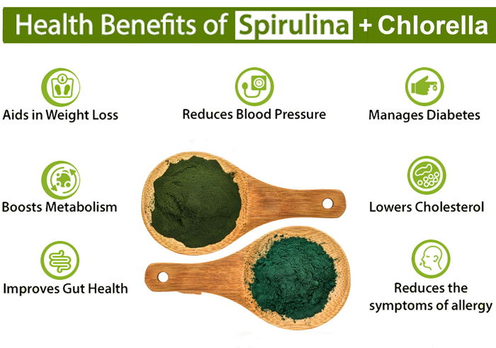 Spirulina and chlorella powder_1.jpg