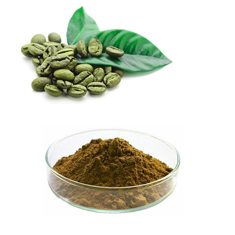 10% Green coffee bean extract