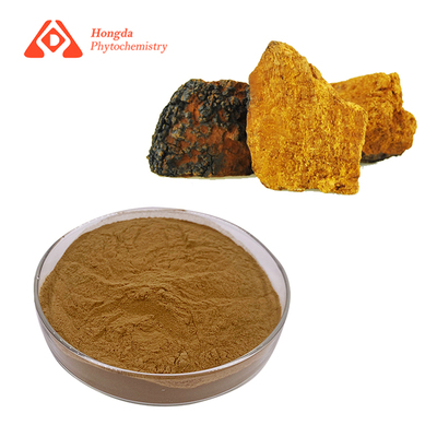 chaga extract