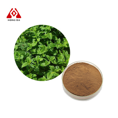 Lemon Balm extract powder