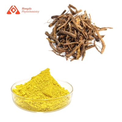 Coptis Root Extract