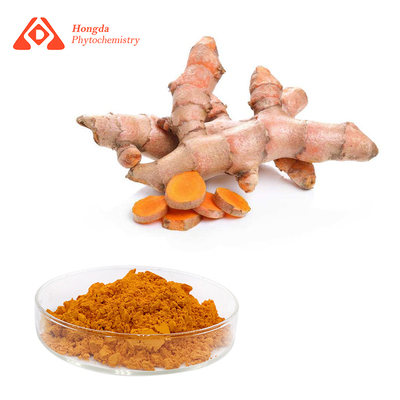 95 Curcumin Powder