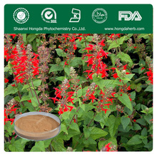 Salvia Powder