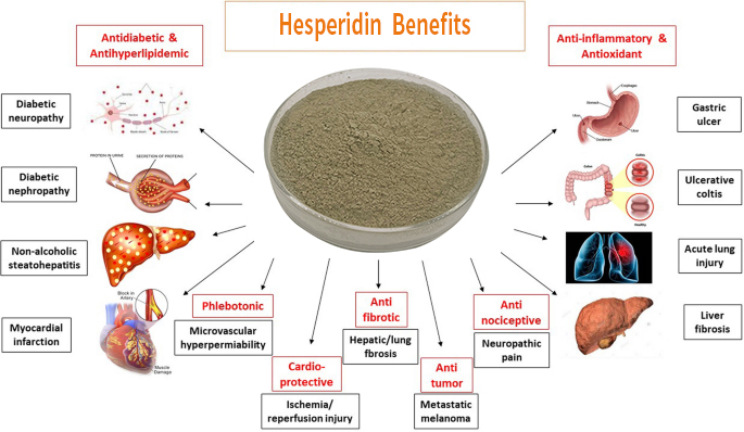 Hesperidin Benefits.jpg