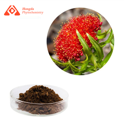 Rhodiola rosea extract powder