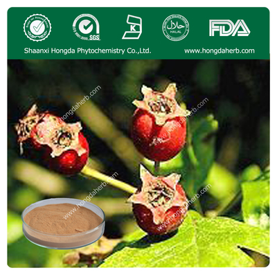 Hawthorn Leaf extract