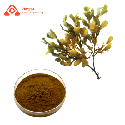 Fucus Extract