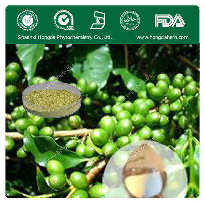 绿咖啡豆提取物(25%)