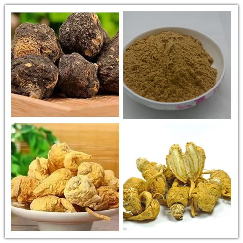 maca extract.jpg