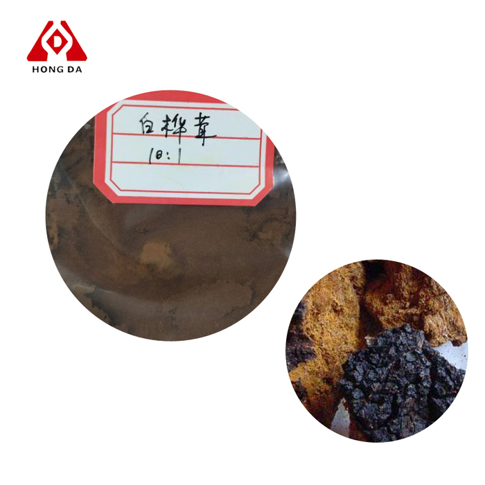 chaga extract powder.jpg