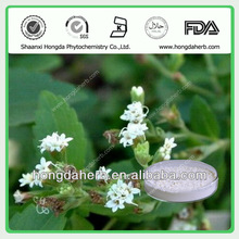 Stevia extract