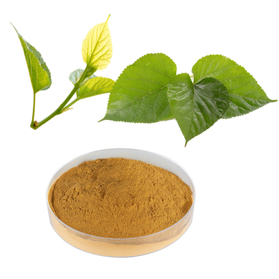  Mulberry Leaf extract