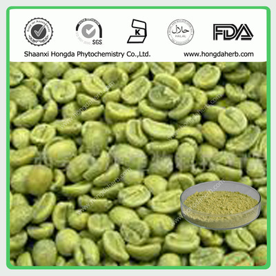 绿咖啡豆提取物（50%）