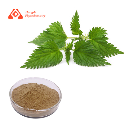 Nettle Extract