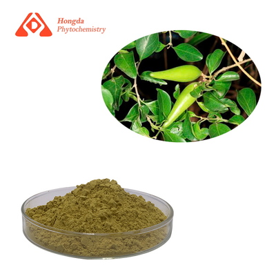 Gymnema Sylvestre Extract