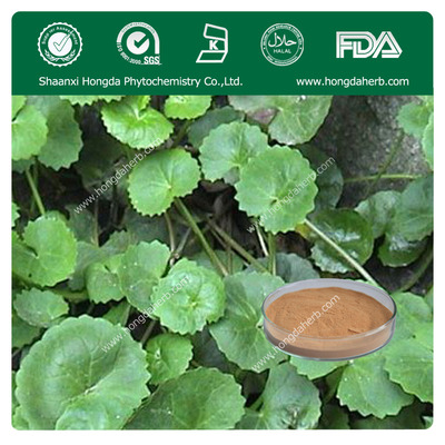 Gotu Kola Extract