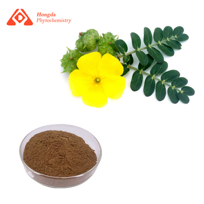 Tribulus Terrestris Extract 