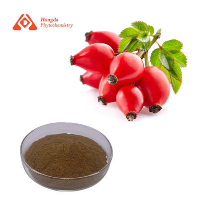 Rosehip Extract Powder