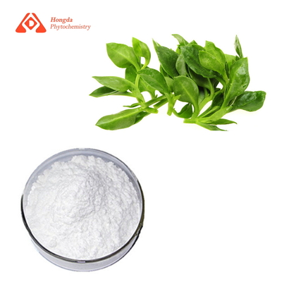 andrographis paniculata extract Andrographolide