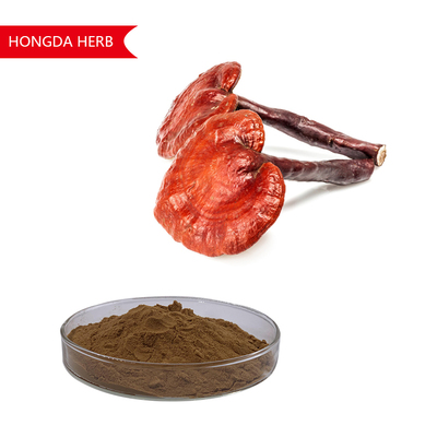 Ganoderma Lucidum (30%)