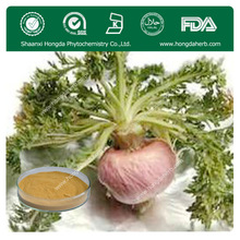 Maca extract