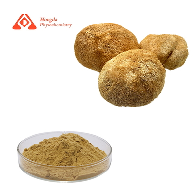 Organic Lion's Mane Mushroom Powder