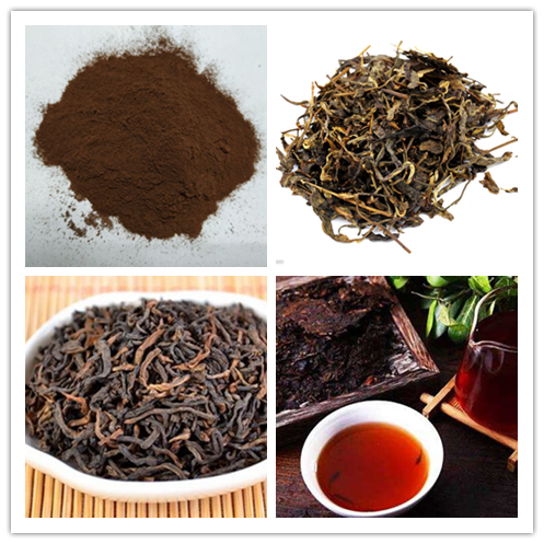 pu'er tea powder 2.png