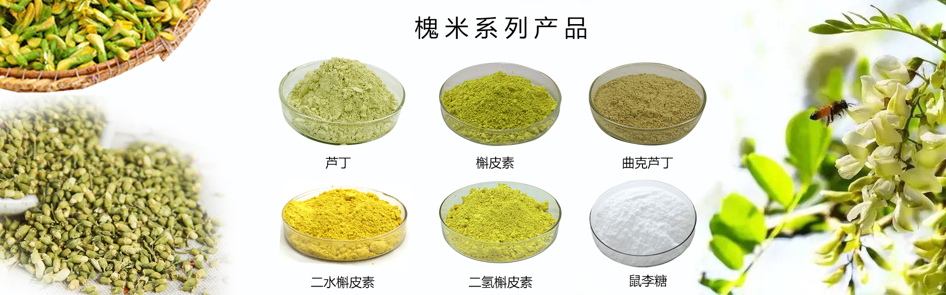 Amazon.com: 黑籽油有機小茴香膠囊黑孜然籽油冷壓,黑芝麻提取物