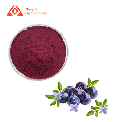 Bilberry Extract Powder